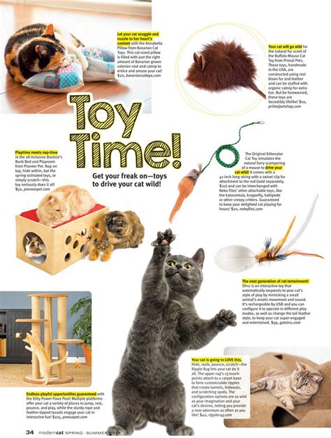 Teaching Your Cat to Play with a Magic Organic Cat Toy: Tips and Tricks